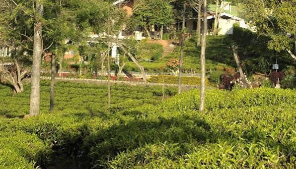 Teanest By Nature Resorts And Stays Кунур Екстер'єр фото